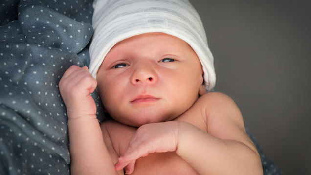Illustration for article titled EXCLUSIVE: First Look At The New Baby